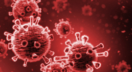Illustration du coronavirus.