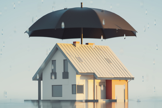 A house surrounded by water is shielded by a large black umbrella, symbolizing protection.