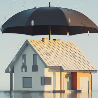 A house surrounded by water is shielded by a large black umbrella, symbolizing protection.